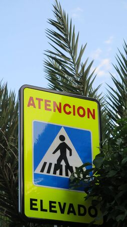 Elevated pedestrian crossing warning sign partly covered by palm leavesの写真素材