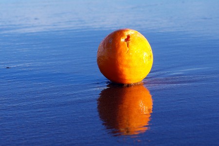orange by the sea           の写真素材