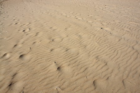footprint on the sand                               