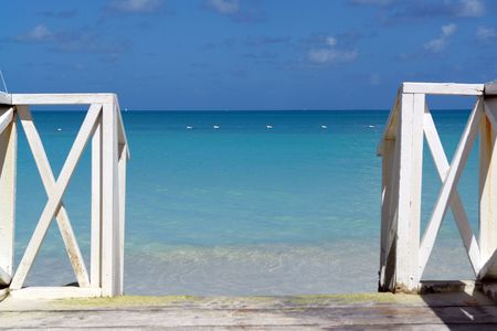 walk into the ocean                               の写真素材