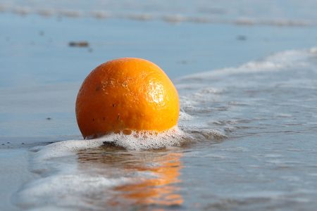   fresh ripe orange                             の写真素材