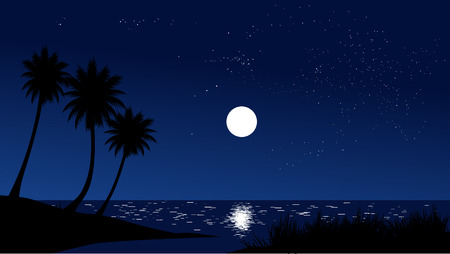 midnight in the beach with starry skyのイラスト素材
