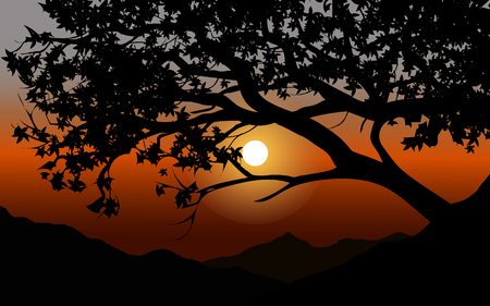 sunset view through tree silhouetteのイラスト素材