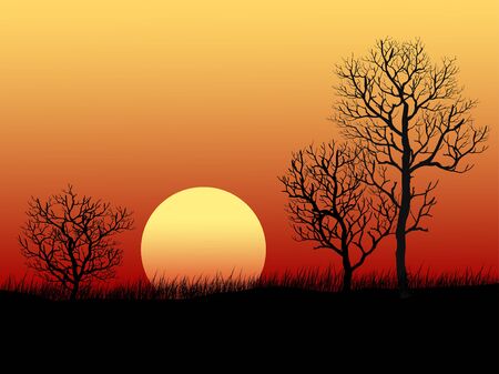 Forest in sunset with bare treesのイラスト素材