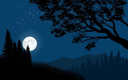 beautiful night with full moonのイラスト素材