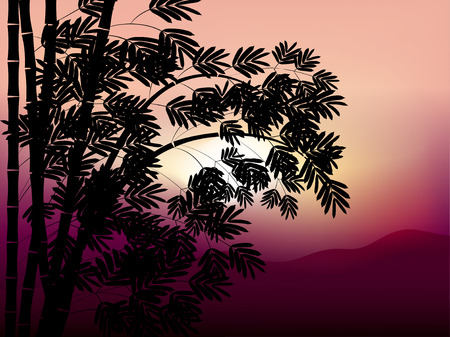 sunset nature landscape with bambooのイラスト素材