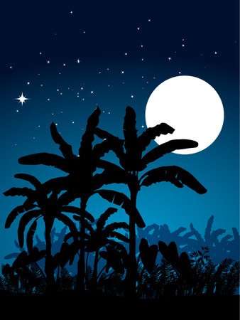 night landscape with full moon and banana treesのイラスト素材