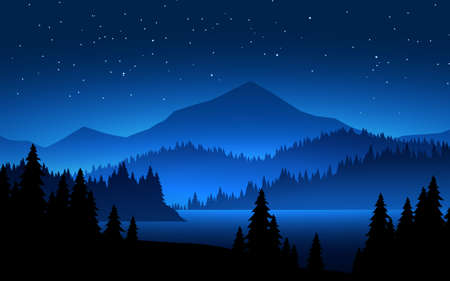 Night in mountain with pine forestのイラスト素材