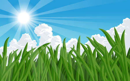 Sunrise over green grass with clouds and blue skyのイラスト素材