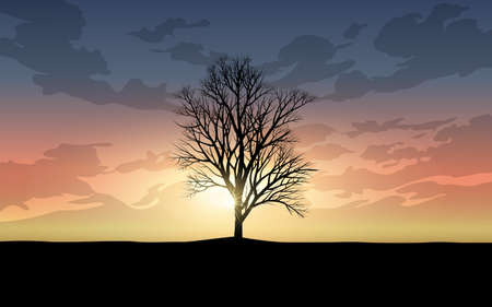 Lonely tree silhouette sunset landscapeのイラスト素材