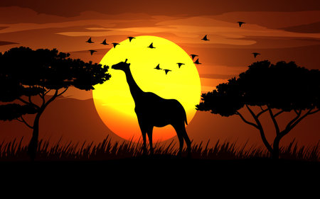 African wildlife on sunset with giraffe and birds silhouetteのイラスト素材