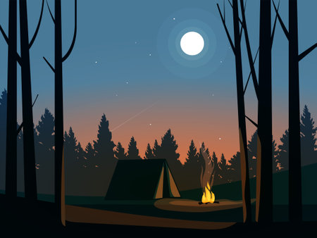 Beautiful night in forest with tent and campfireのイラスト素材