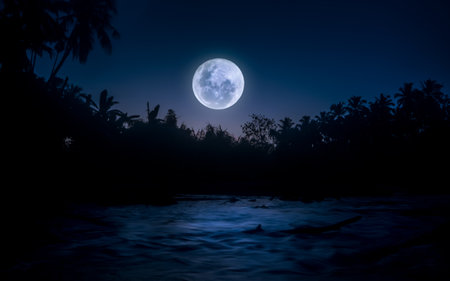 Beautiful tropical landscape with big full moon in the night sky.の写真素材
