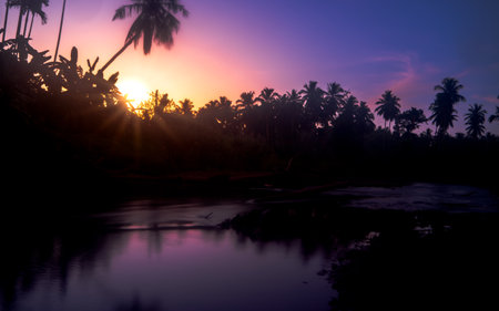 Silhouette of palm trees at sunset on a tropical island.の写真素材