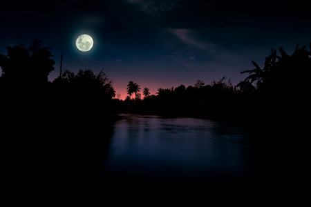 Beautiful night landscape with bright full moon over the forest and the river.の写真素材
