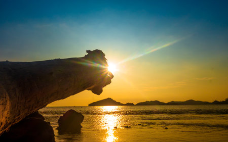 Colorful beach landscape with sunbeam on the treeの写真素材