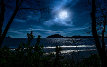 Moonlight over the sea at night in full moonlight. Natural background.の写真素材