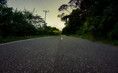 Asphalt road with trees in the background at sunset, Thailand.の写真素材