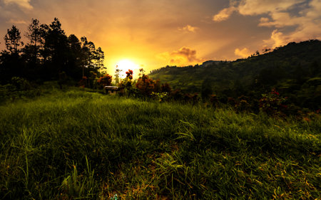 Sunset at Puncak Lawang  West Sumatra, Indonesiaの写真素材