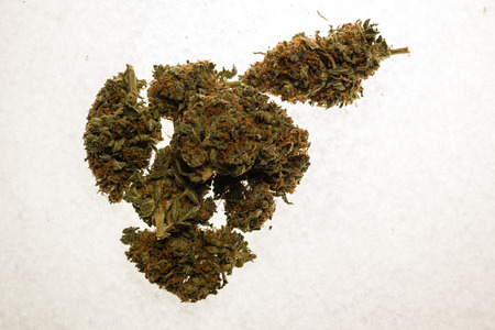 Dried flower buds of flowering cannabis marijuana plantの写真素材