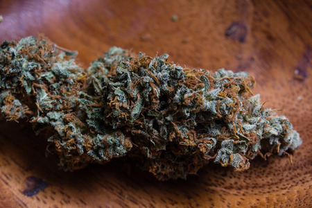 Dried flower buds of flowering cannabis marijuana plantの写真素材