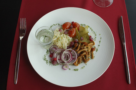 traditional russian cuisine startersの写真素材