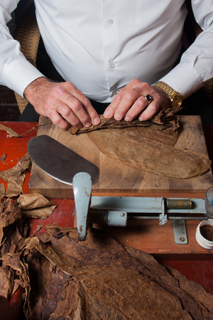 old man torcedor rolling hand made cigarsの写真素材