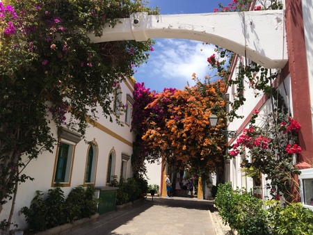 Puerto de Moganのeditorial素材