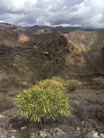 The rugged, beautiful interior of Gran Canariaの写真素材