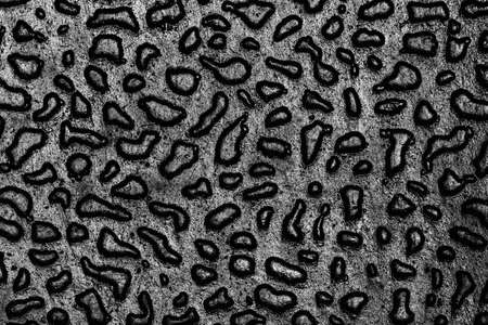 black shiny wet look globular textured background close up