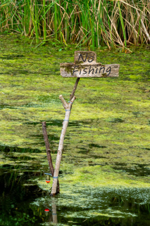 No Fishing Sign cable tied to a stick in a pond with a fishing float hanging from itの写真素材