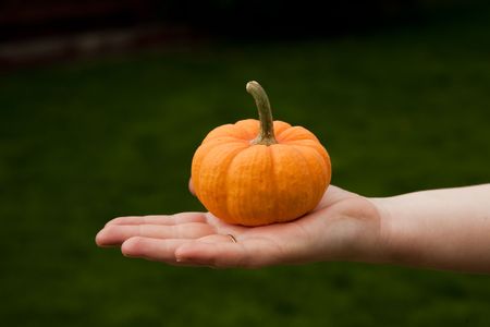 Pumpkin on handの写真素材