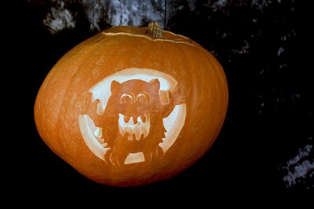 Halloween pumpkinの写真素材