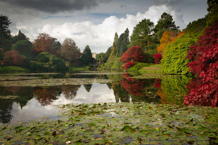 Sheffield Park in Autumn Fall      3098の写真素材