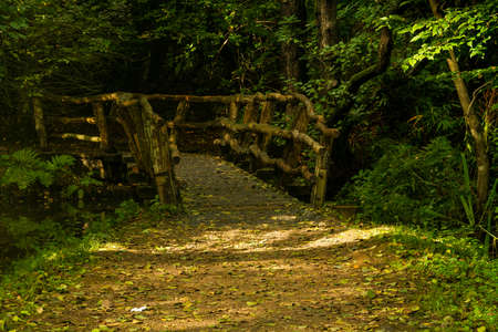 The swamp bridge at Sheffield Park in Autumn Fall     3183の写真素材