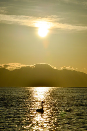 The mountains and waters around Tarim Lake are a unique and beautiful landscape that is worth experiencingの写真素材