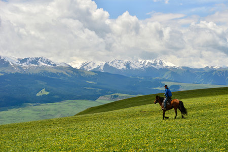 The horses on the Kalajun prairie in Xinjiang are important partners and friends in the life of herdsmenの写真素材