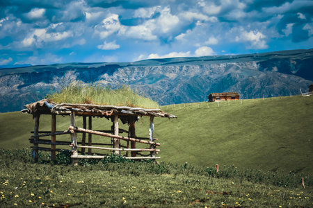 Qiongkushtai in Xinjiang, a small Kazakh village which has a vast grassland and leisurely horses and sheep.の写真素材