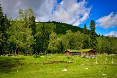 Qiongkushtai in Xinjiang, a small Kazakh village which has a vast grassland and leisurely horses and sheep.の写真素材