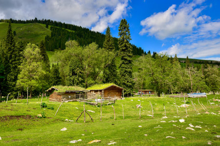 Qiongkushtai in Xinjiang, a small Kazakh village which has a vast grassland and leisurely horses and sheep.の写真素材