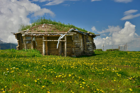 Qiongkushtai in Xinjiang, a small Kazakh village which has a vast grassland and leisurely horses and sheep.の写真素材
