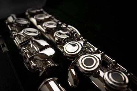 The sound of the flute is melodious and intoxicatingの写真素材