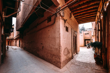 The centuries-old Kashgar Old Town is located in the center of Kashgar. It is a classic representative of Kashgar and Uyghur culture.の写真素材
