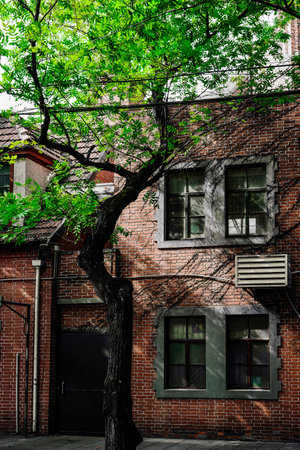 The buildings on many streets in Shanghai still retain the humanistic style of the early 19th century, giving people a nostalgic atmosphereの写真素材