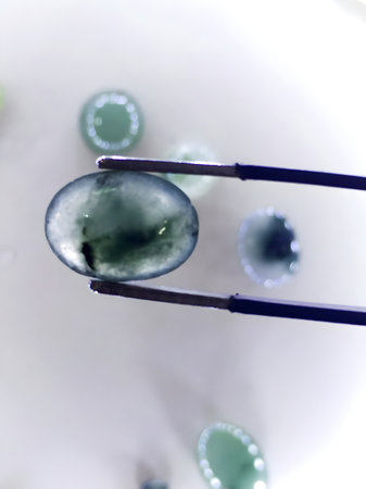 A close-up image of a green oval jade held by silver tweezers, with other green jade out of focus in...
