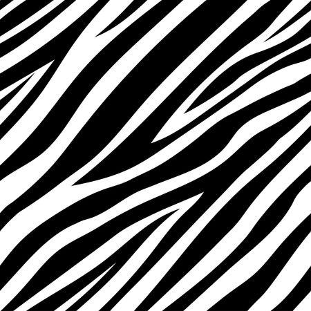 Vector illustration of seamless zebra pattern in vectorのイラスト素材