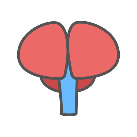 Brain color icon. Isolated vector illustration on white background.のイラスト素材