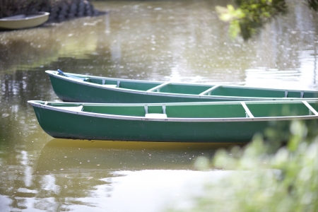 Pair of Canoes
