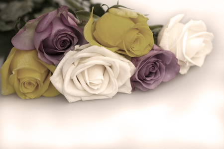 Vintage Rosesの写真素材