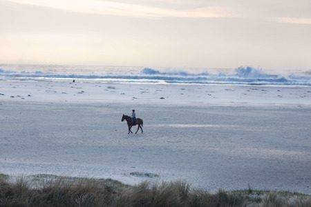 Lone Horse Rider on a Beachの写真素材